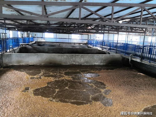 污水生化系統環保管家，綿津環保為企業保駕護航